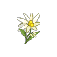 Edelweiss PNG-66296